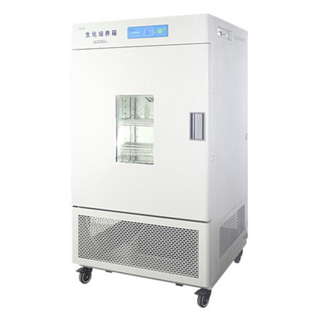 上海一恒LRH-500F生化培養(yǎng)箱 微生物培養(yǎng)箱細菌培養(yǎng)箱